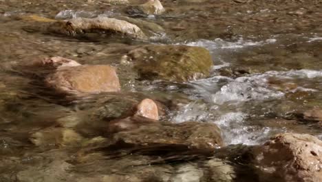 crystal clear river creek water flowing over small rocks