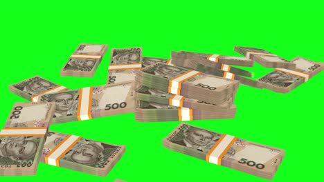 크로마키의 배경에 떨어지는 많은 돈 어리, 500 우크라이나 그리브니아 지폐, 돈 더미.