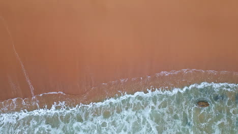 closeup foamy ocean surf covering on sandy beach. sea water making white foam