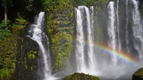rainbow waterfall in lush rainforest