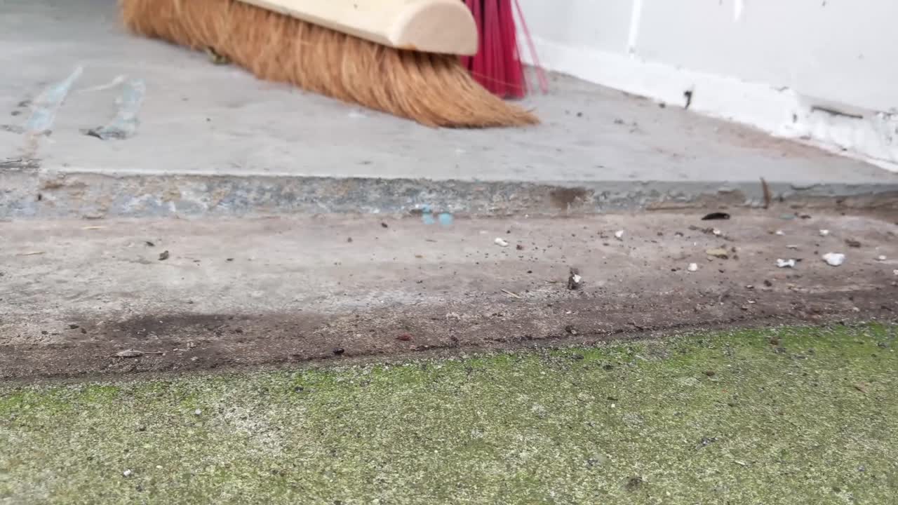 A woodlouse walking in front of the camera. On the background there is a broom to clean the dirt of the warehouse. Other insects, such as ants, are also visible.