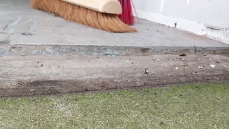 a woodlouse walking in front of the camera. on the background there is a broom to clean the dirt of the warehouse. other insects, such as ants, are also visible.