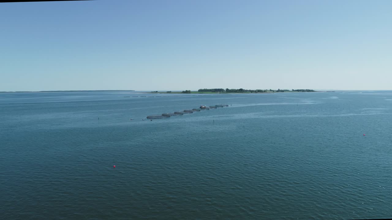 생선 농장 그물