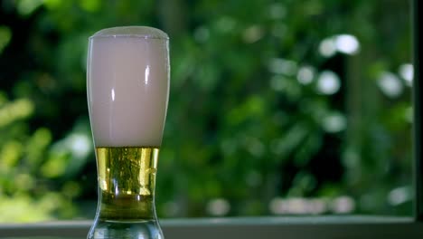 beer is pouring into glass on a garden background