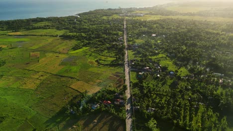 aerial forward shot of catanduanes circumferential road amid lush tropical foliage and rice paddies during sunset at san andres, philippines.