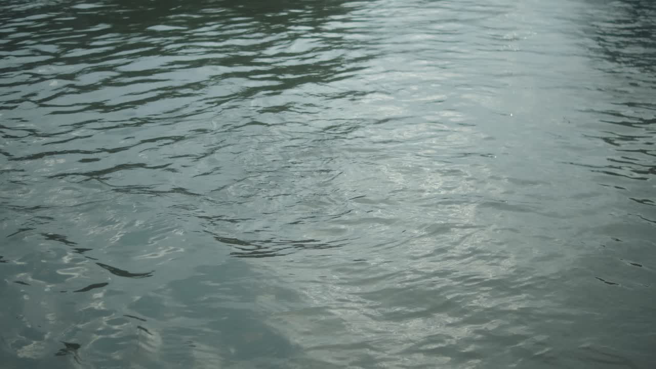 Dynamic close-up captures rapidly moving water with textured ripples and reflections, highlighting energy and motion in a natural aquatic setting