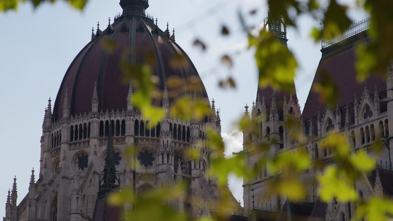 Palazzo del Parlamento Ungherese, spostamento della messa a fuoco dalle foglie degli alberi al tetto