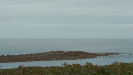 Vista-Al-Mar-Con-Costa-Rocosa-Y-Helechos.