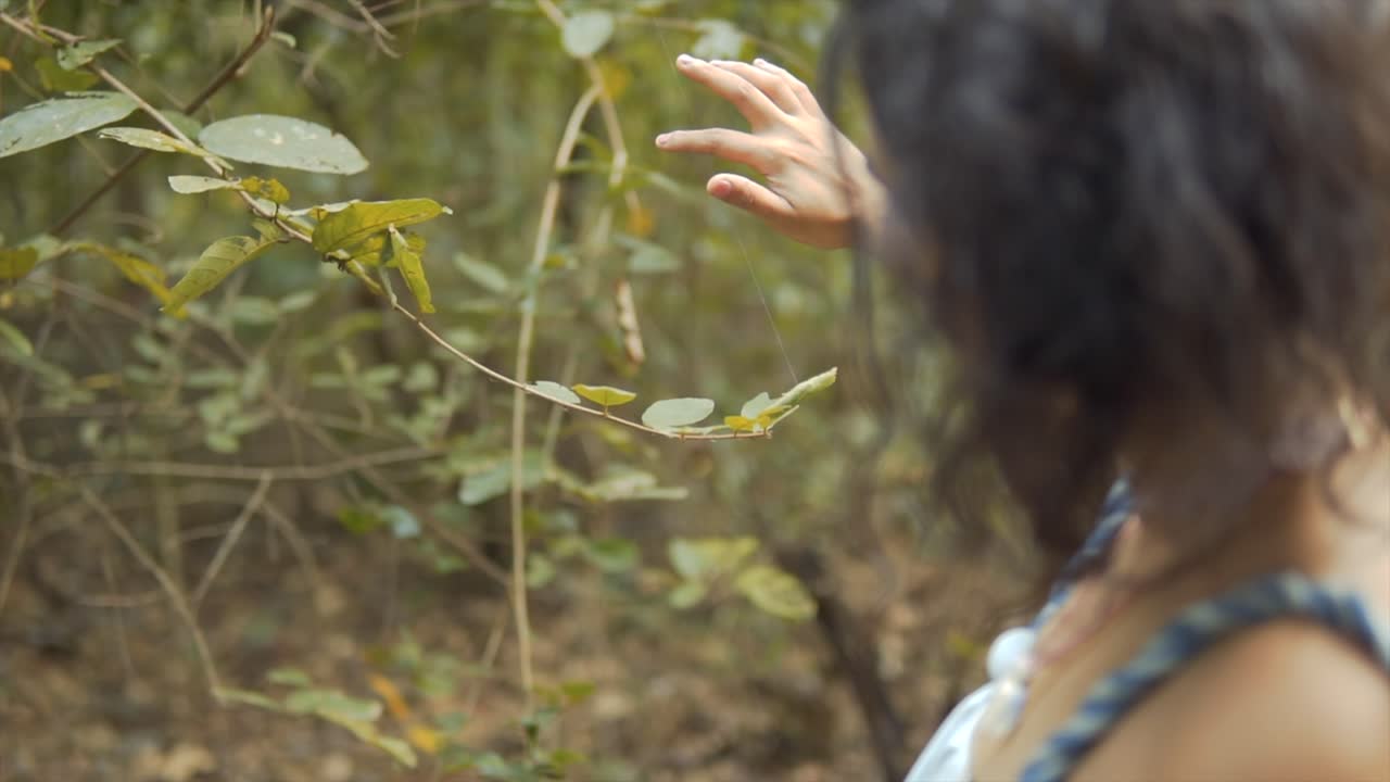 vista trasera de una joven asiática tocando las hojas de los árboles suavemente con el dedo en las vacaciones de verano