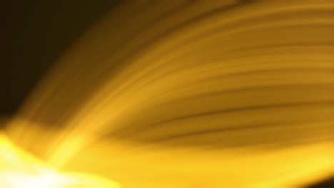 colorful lights swirl and shift dynamically at a lively gathering. the atmosphere feels energetic as bright hues blend, creating a captivating visual display throughout the celebration.