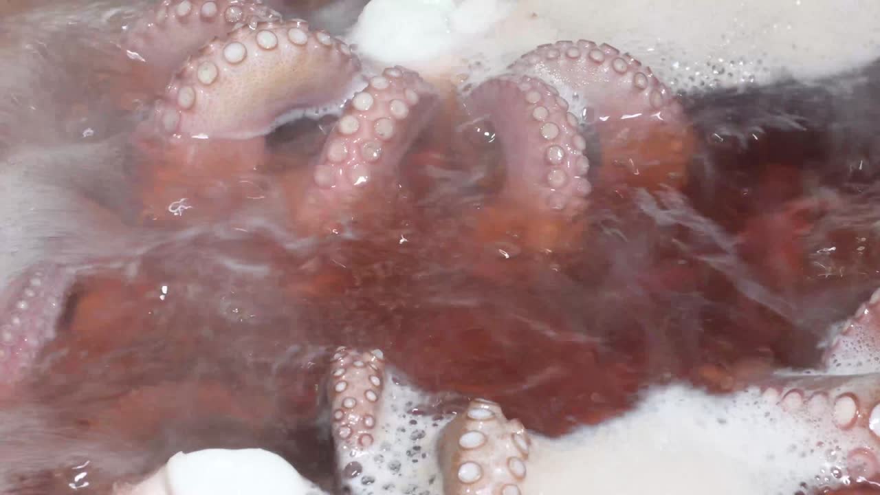 Close up Water boiling cooking Seafood. Small Octopuses getting ready to prepare traditional Latin American dishes