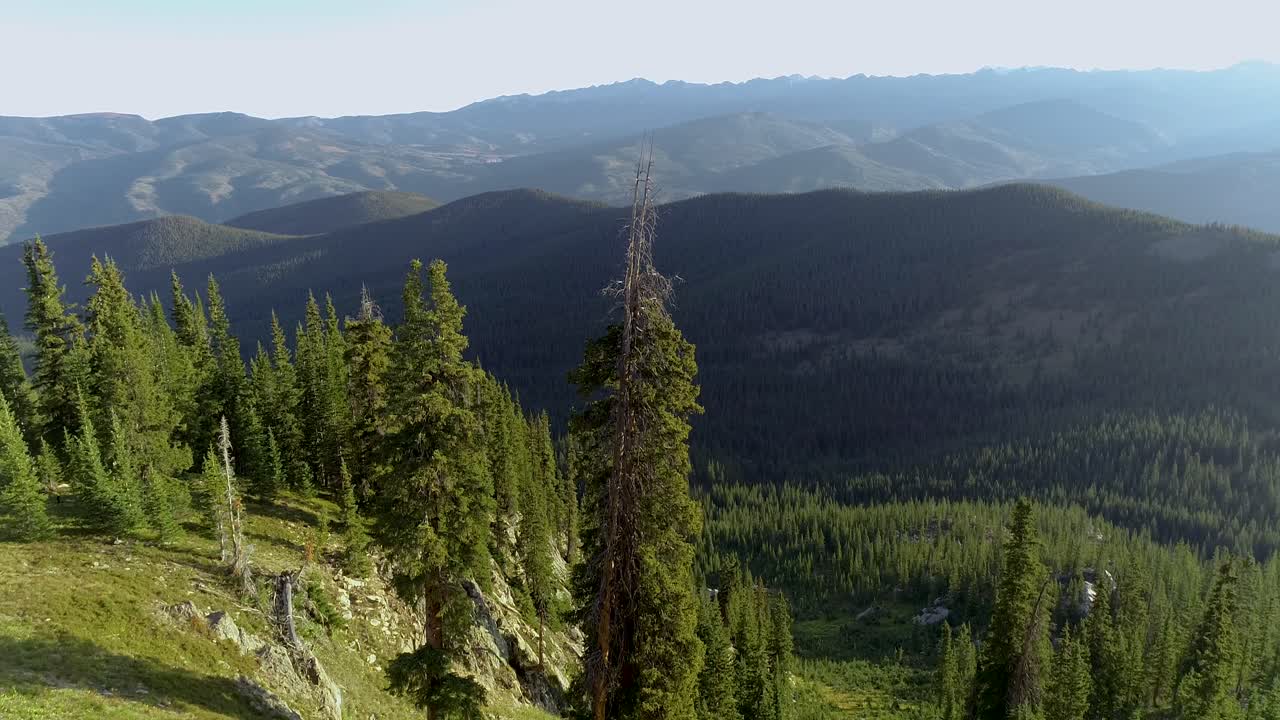 impresionantes vistas mientras la toma aérea revela montañas y bosques de pinos
