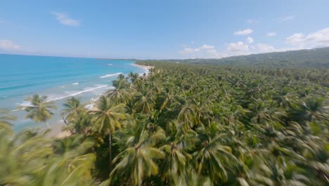 playa tropical playa coson en las terrenas, republica dominicana - antena fpv