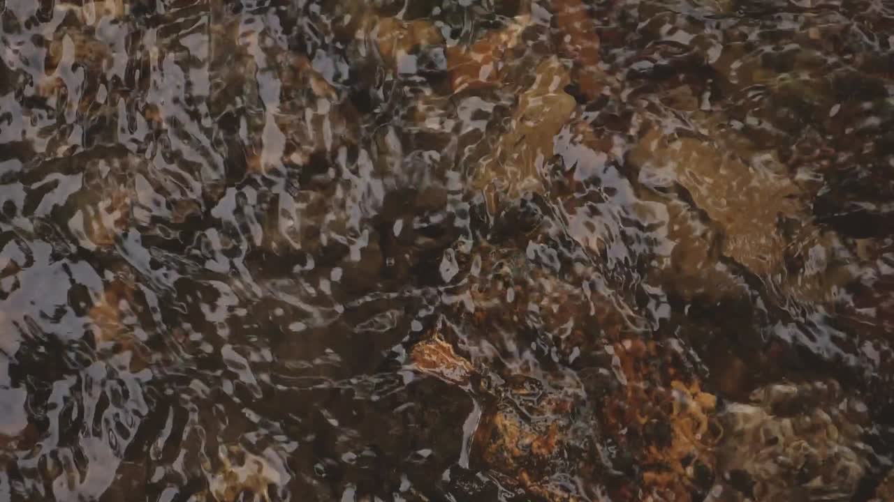Water Washes Over Rocks in Shallow Stream