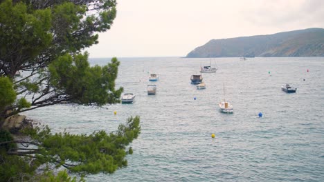 Barcos-Y-Boyas-De-Colores-Flotando-En-La-Superficie-Del-Mar-Con-Montaña-En-Segundo-Plano.