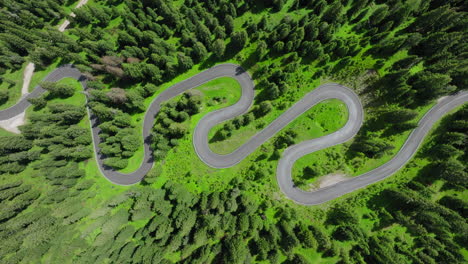 overhead aerial view of strada a serpente passo giau high mountain pass, the snake road connecting cortina with colle santa lucia and selva di cadore, dolomites, evergreen larch trees