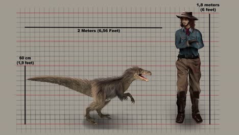 realistic animation of velociraptor and man comparing size - small dromaeosaurid dinosaur