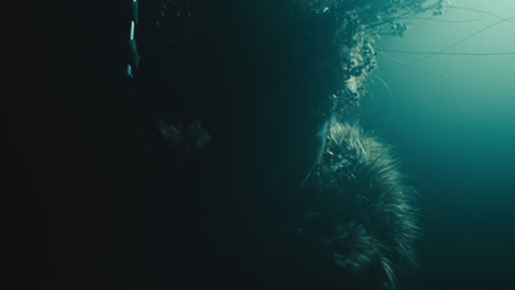 a creepy witch stands in the moody pose during the night storm