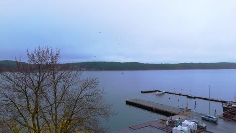 Rising shot of a small pier, overcast day and birtds