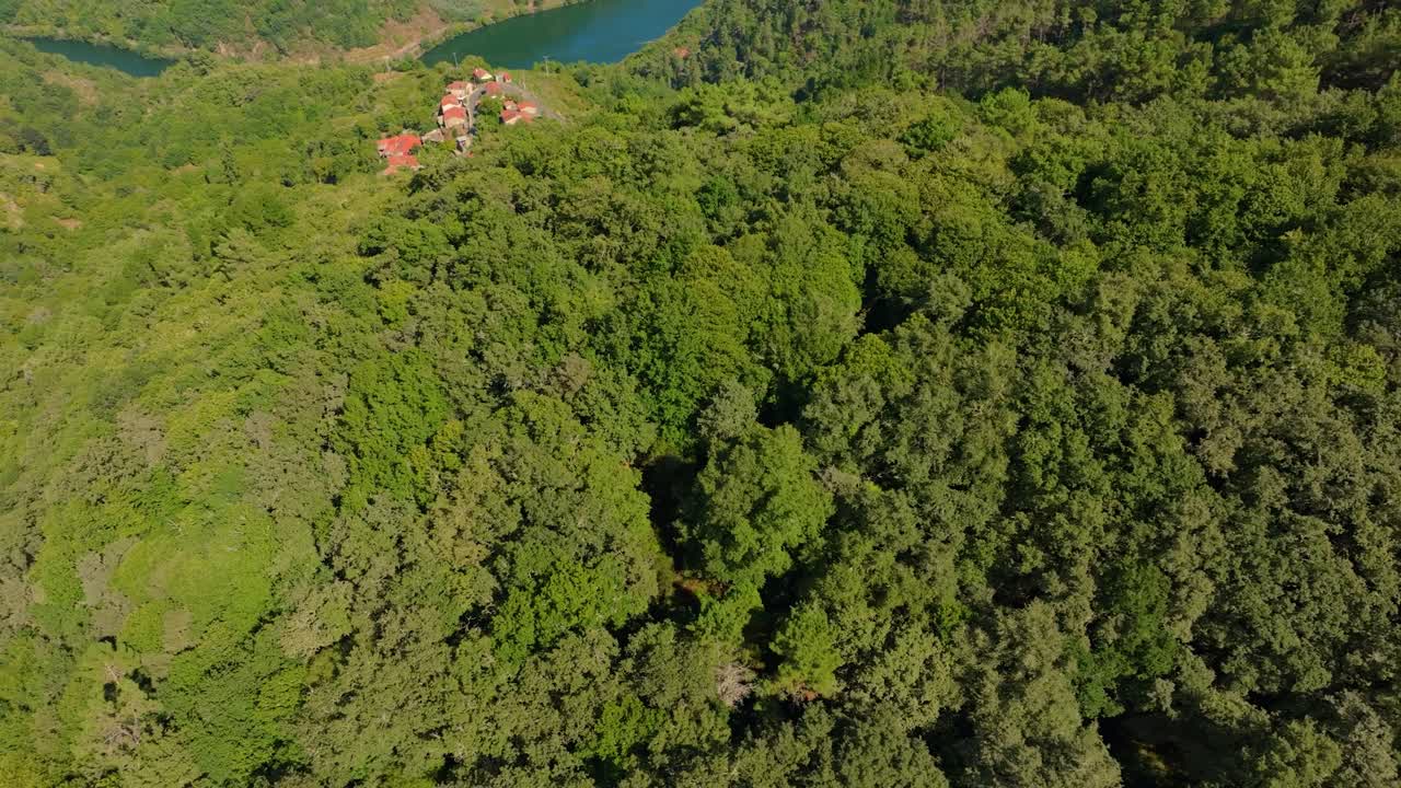 volar sobre el exuberante bosque de árboles sobre la ribeira sacra en el pueblo de belesar, galicia, españa