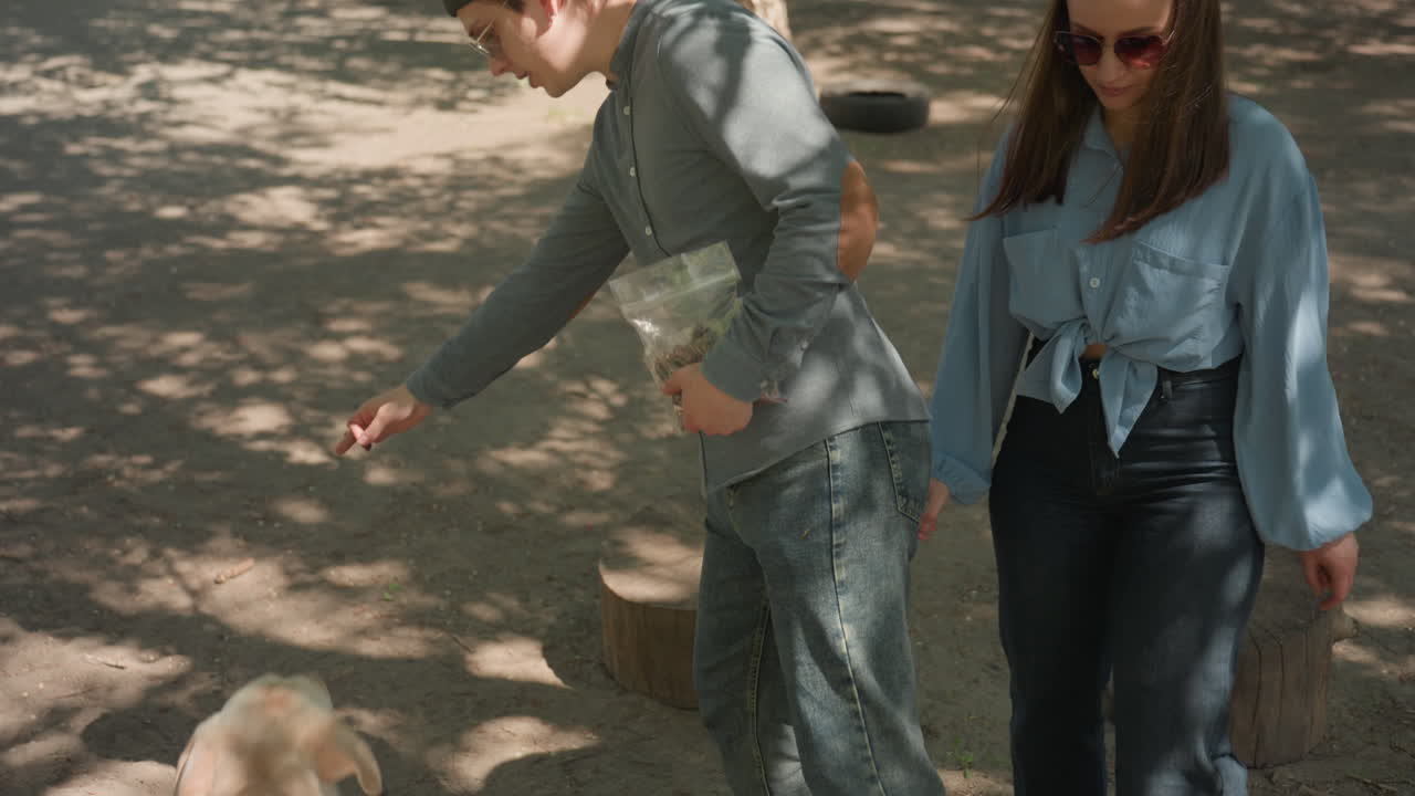 강아지 훈련, 젊은 남성과 래브라도 훈련 세션, 공원 벤치에서 래브라도를 가르치는 캐주얼한 젊은 남성, 그늘진 공원 나무 아래에서 간식을 받는 래브라도와 젊은 트레이너