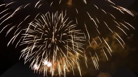 different types of colorful fireworks celebrations in the night sky.