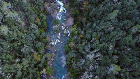 forest, river and a bridge from above, drone shoots