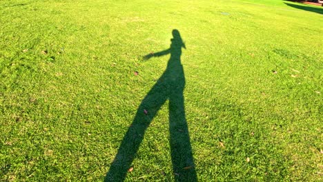 a playful shadow dances across sunlit grass, creating dynamic shapes in a vibrant outdoor setting