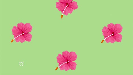 pink tropical flowers pattern