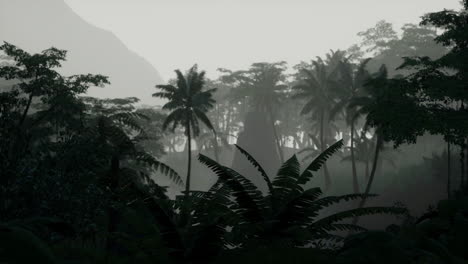 deep tropical jungle in darkness