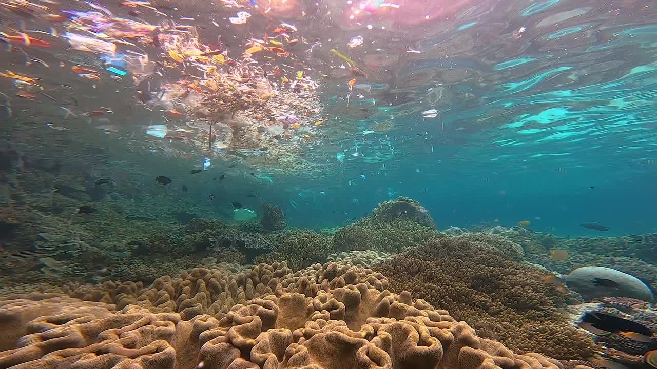 basura y plástico flotando en la superficie con arrecifes de coral prístinos y saludables debajo