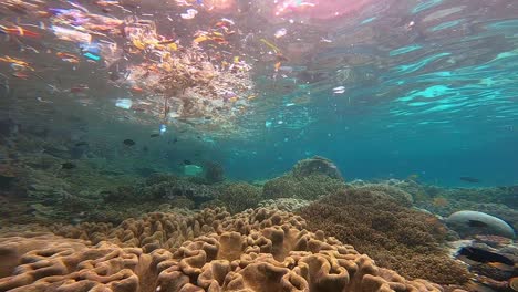 trash and plastic floating on surface with healthy pristine coral reef below