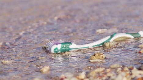 close up of plastic old toothbrush washed up on sandy beach being washed away by current and waves