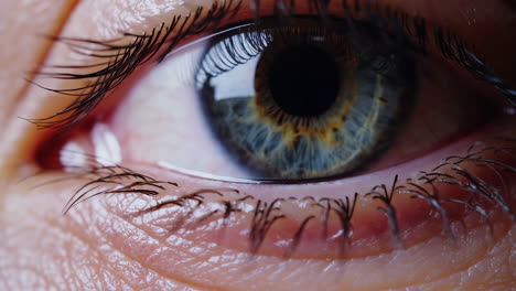 close-up view of a human eye