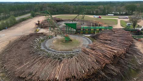 piles of logs