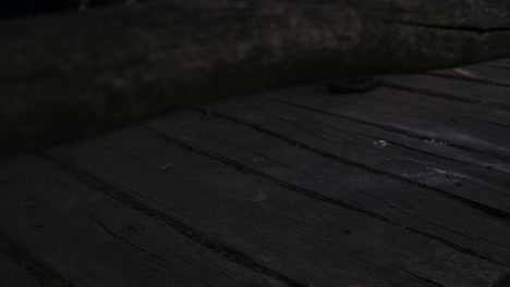 medieval warriors on a wooden plank