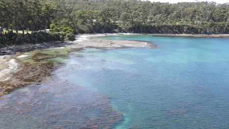 drone aerial over tropical blue water with trees on beach shore front