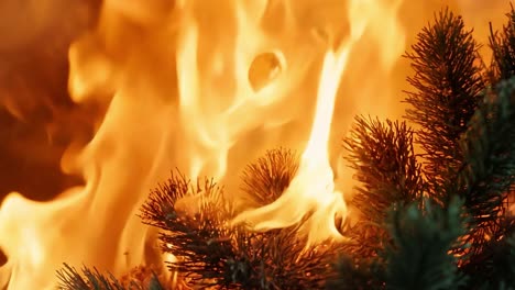 close-up of a christmas tree burning in a fire