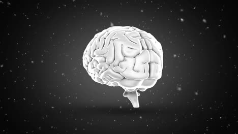 Animation-Des-Menschlichen-Gehirns-Und-Partikeln-Auf-Schwarzem-Hintergrund