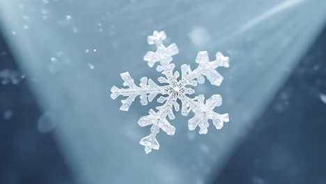 close up of a snowflake