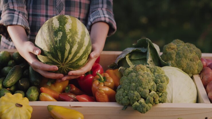 Farmer holds a watermelon over the counter at a farmers market