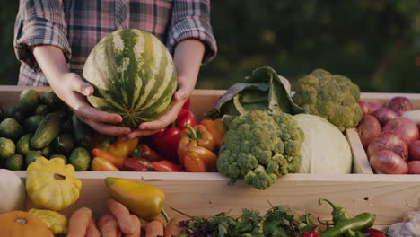 Bauer-Hält-Eine-Wassermelone-über-Den-Ladentisch-Auf-Einem-Bauernmarkt