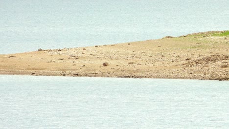 bar of shore between two bodies of water.