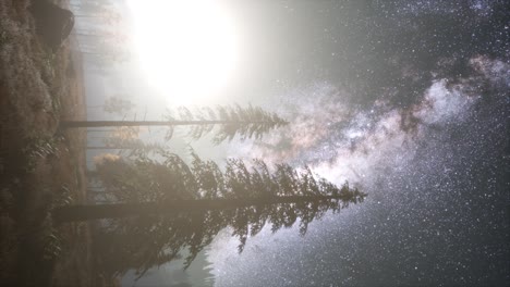 galaxia de la vía láctea sobre el bosque