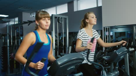 young people train in the gym 3