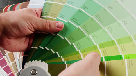 choosing paint colors with swatches