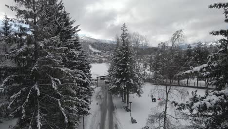 a snow-covered road winding through a village, surrounded by snowy trees and quaint houses and cloudy sky