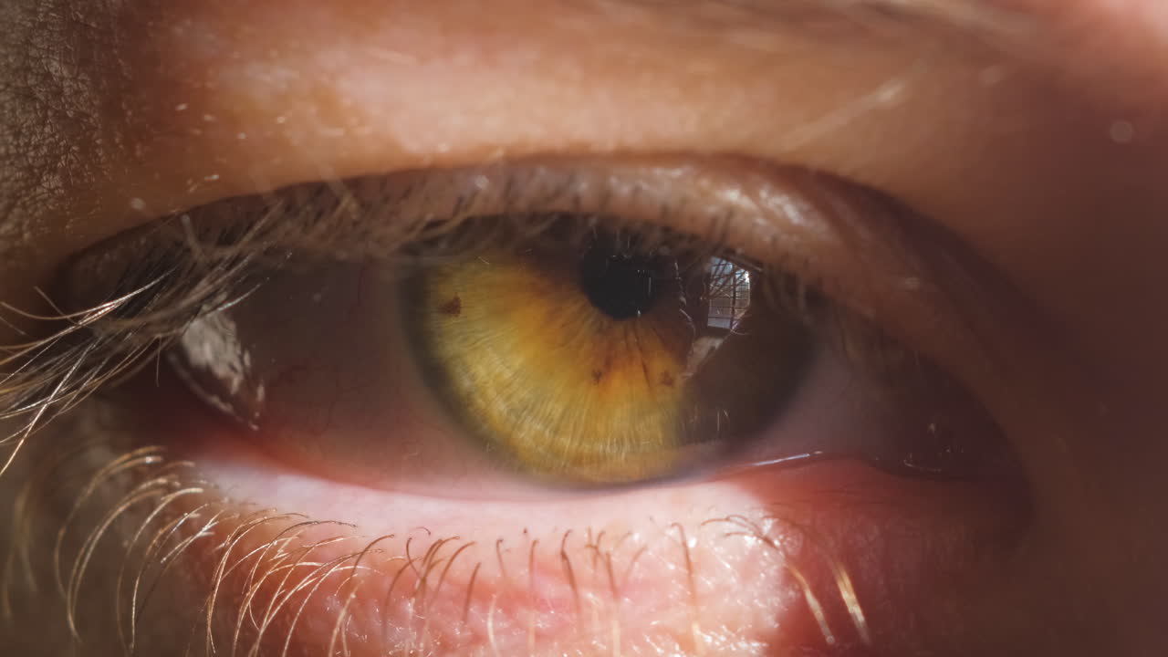 매크로 클로즈업 깜박이는 눈