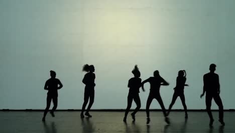 espectáculo de danza de sombras