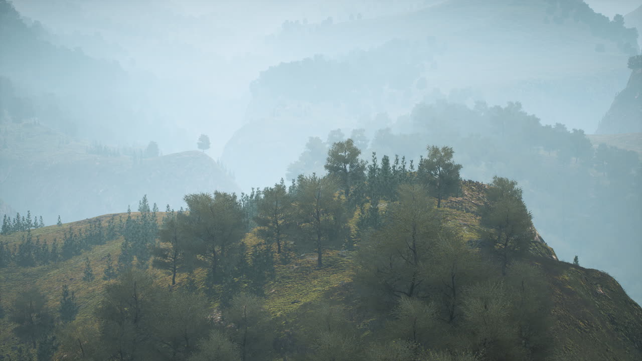 árboles en el prado entre las laderas con bosque en la niebla